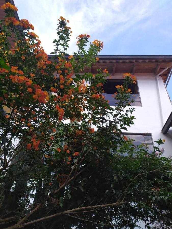 Eureka Lodge 奥兰太坦波 外观 照片